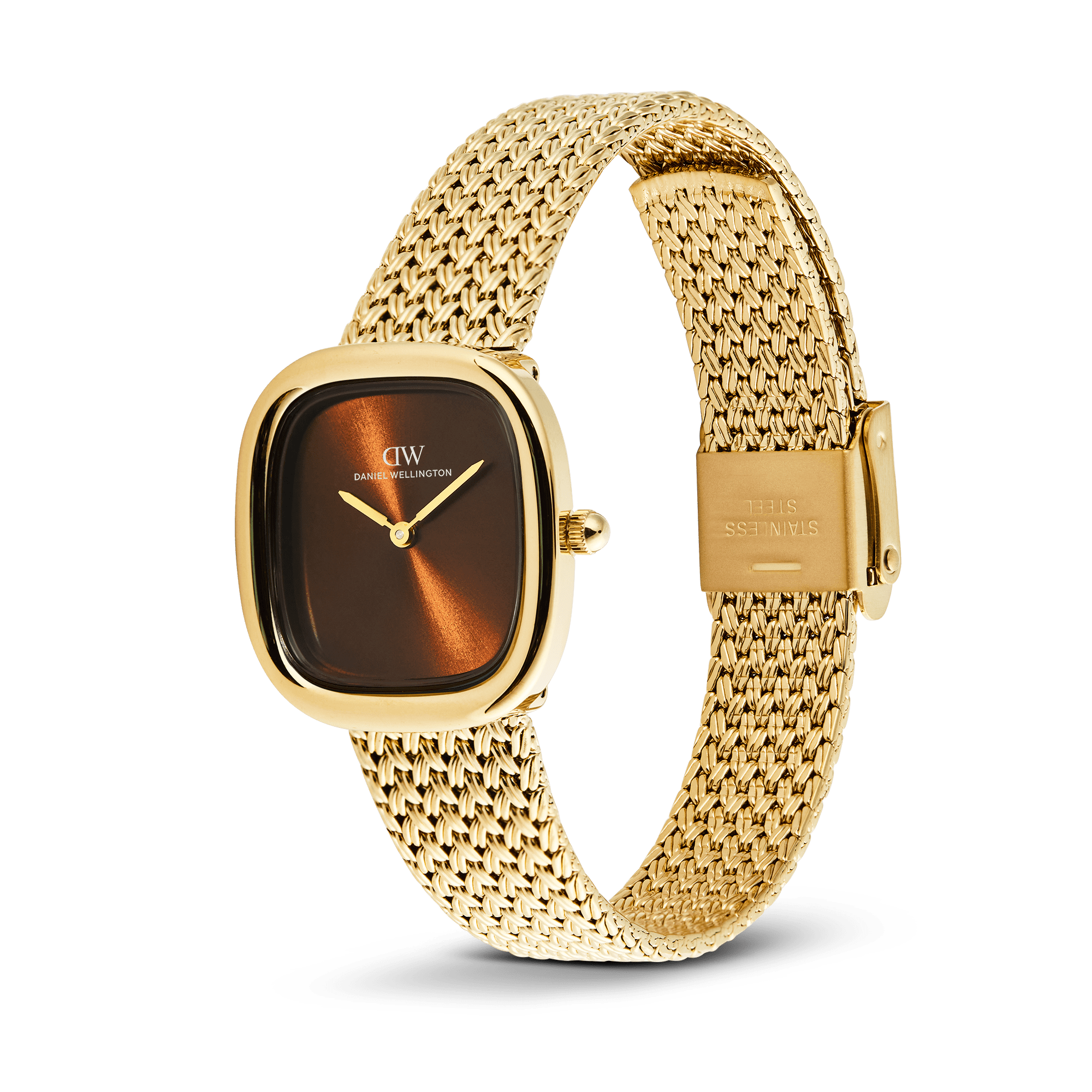 Daniel Wellington DW00100968 Women's Watch