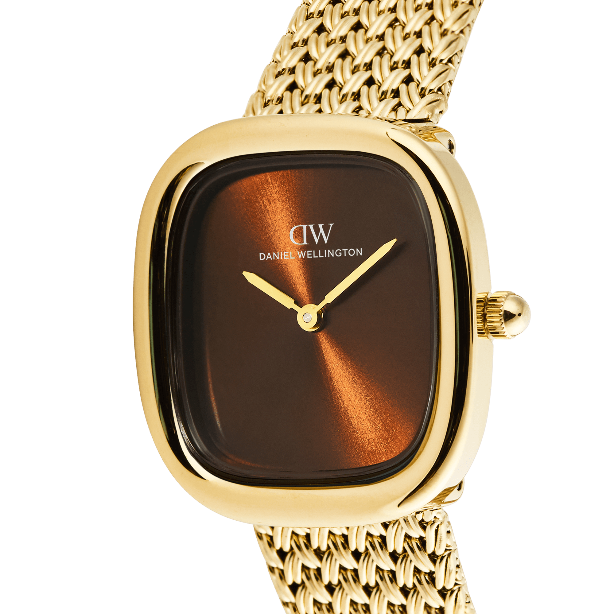 Daniel Wellington DW00100968 Women's Watch